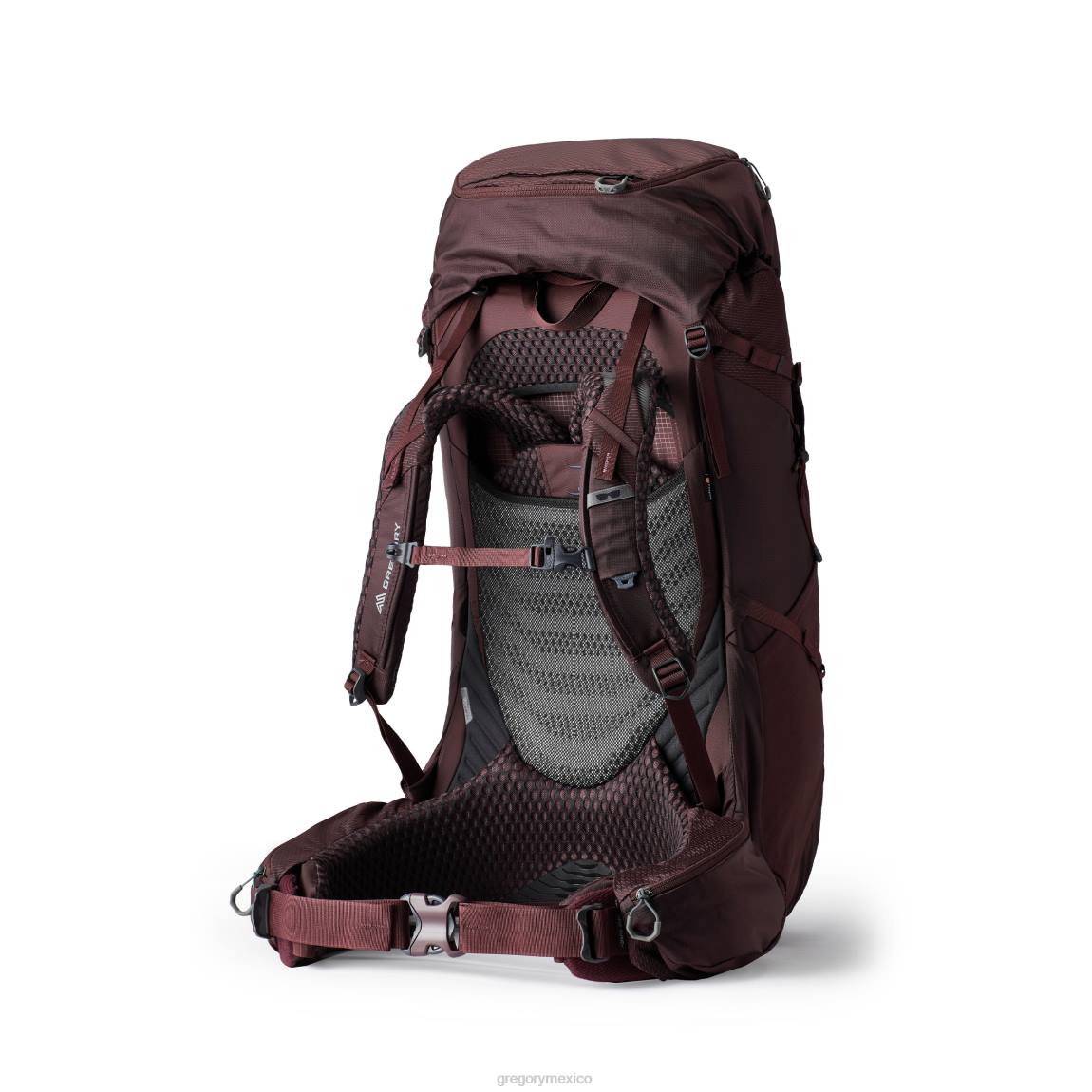 paquetes Gregory Packs deva 60 berenjena PL0N15