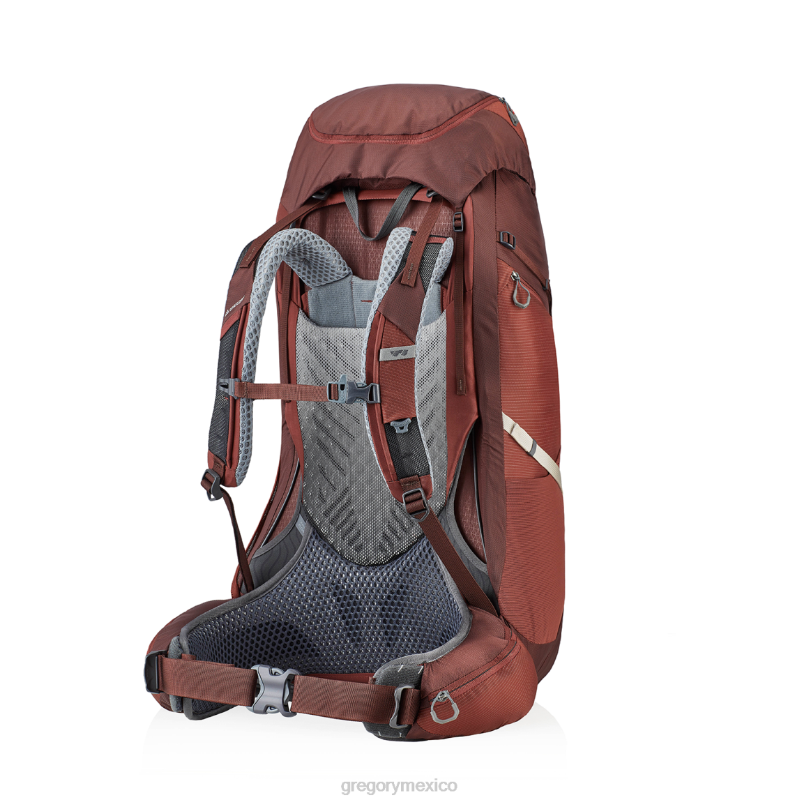 paquetes Gregory Packs experto 45 palo de rosa rojo PL0N49