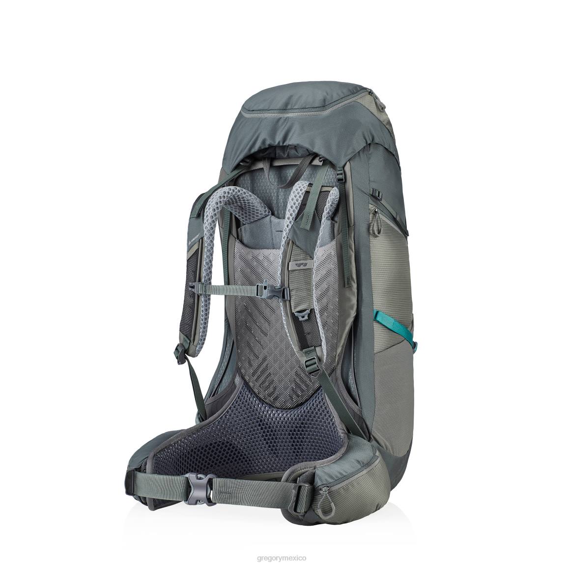 paquetes Gregory Packs experto 65 gris helio PL0N17