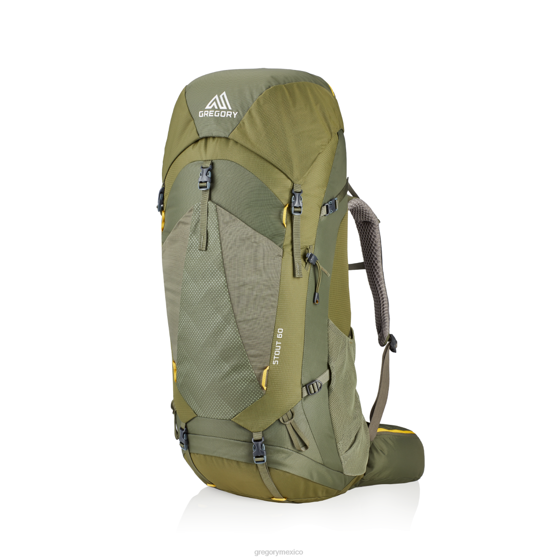 paquetes Gregory Packs fuerte 60 verde hinojo PL0N23