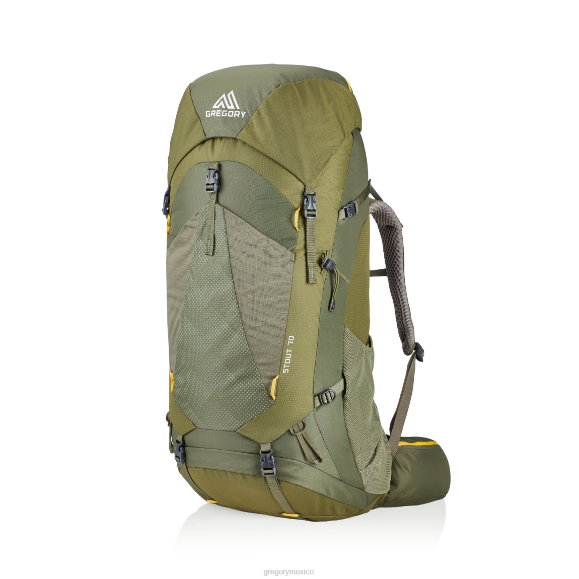 paquetes Gregory Packs fuerte 70 verde hinojo PL0N34