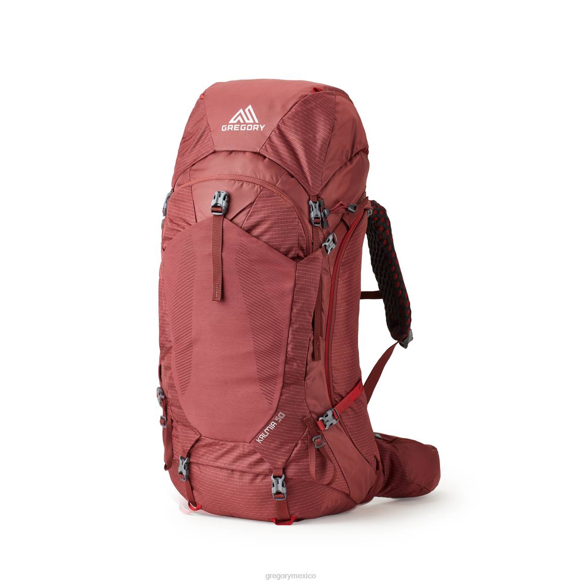 paquetes Gregory Packs kalmia 50 rojo burdeos PL0N58