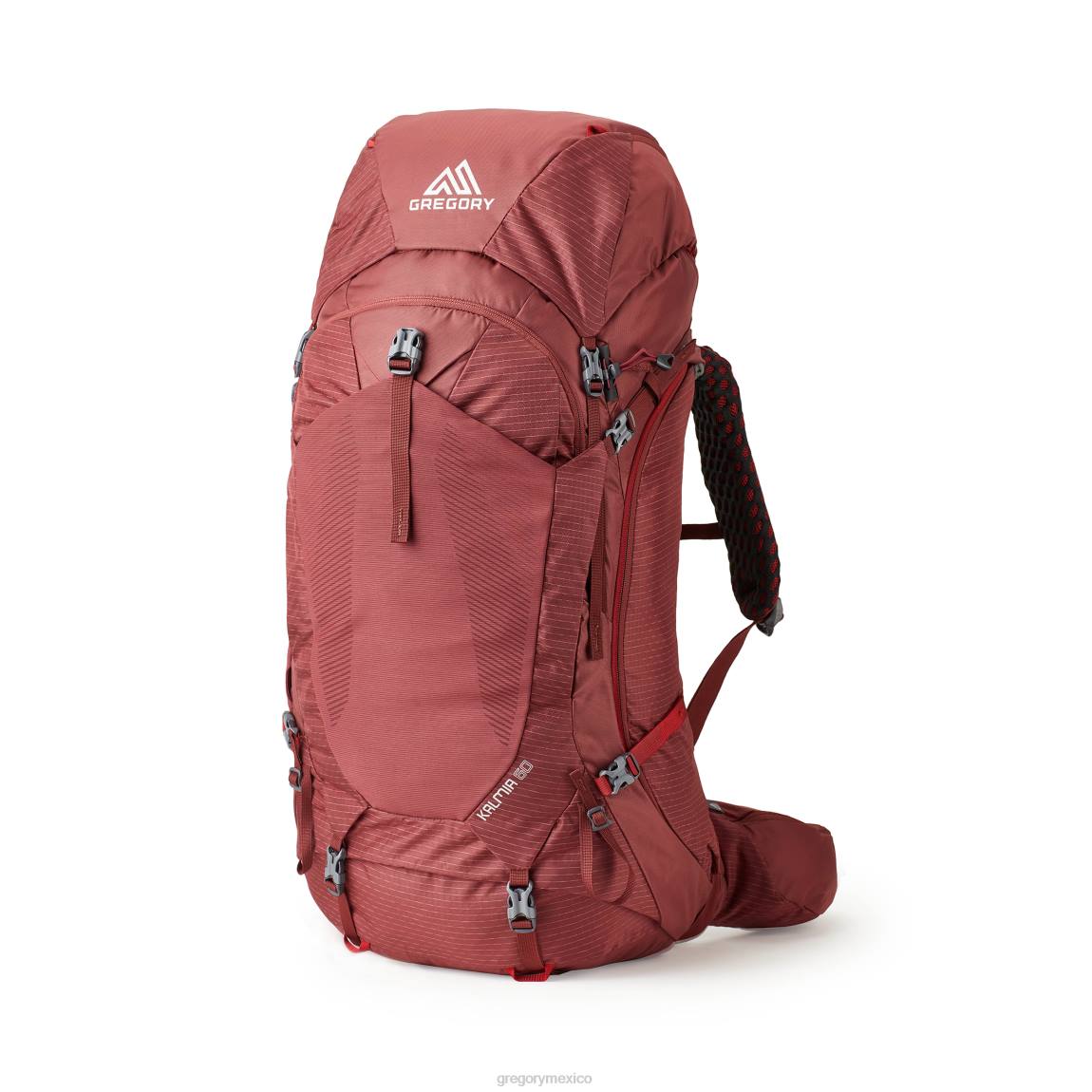 paquetes Gregory Packs kalmia 60 talla grande rojo burdeos PL0N13