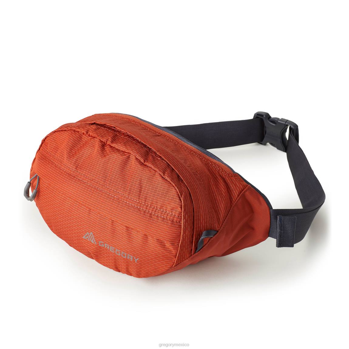 paquetes Gregory Packs nano riñonera naranja chispa PL0N101