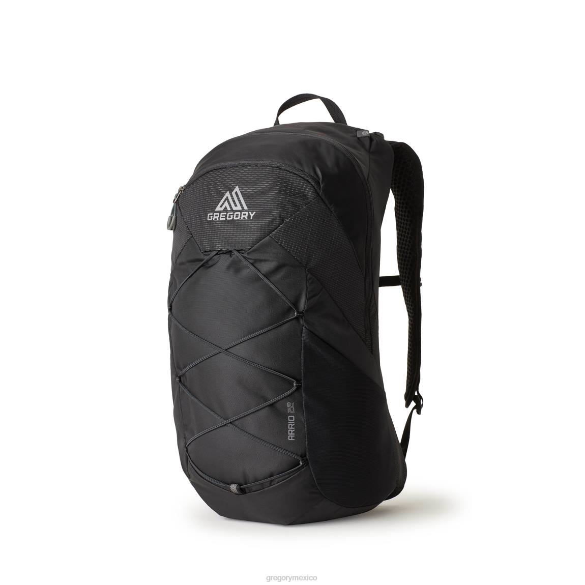 paquetes Gregory Packs arrio 22 llama negra PL0N196