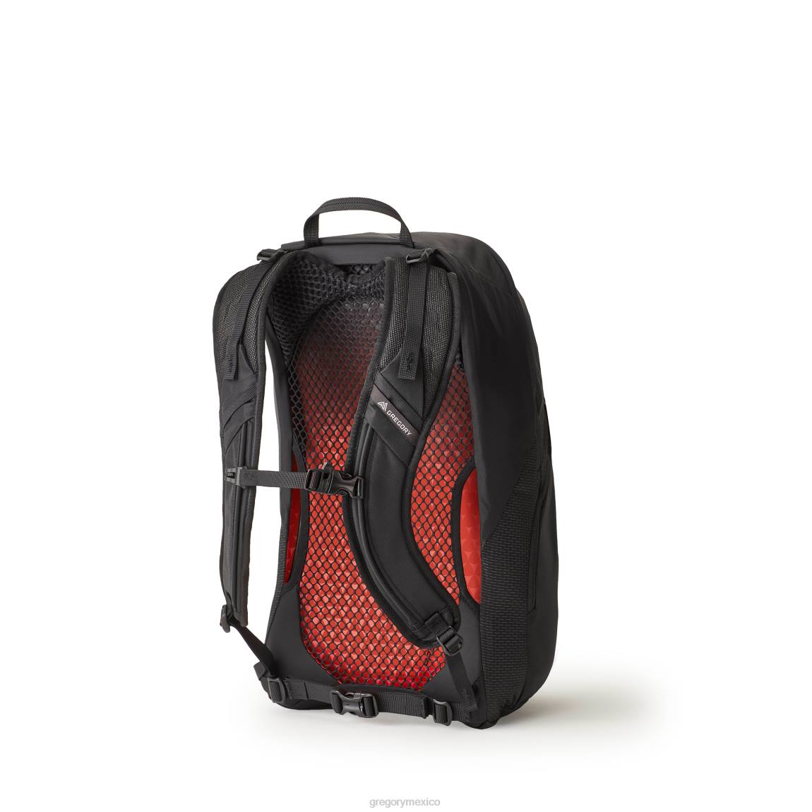 paquetes Gregory Packs arrio 22 llama negra PL0N196