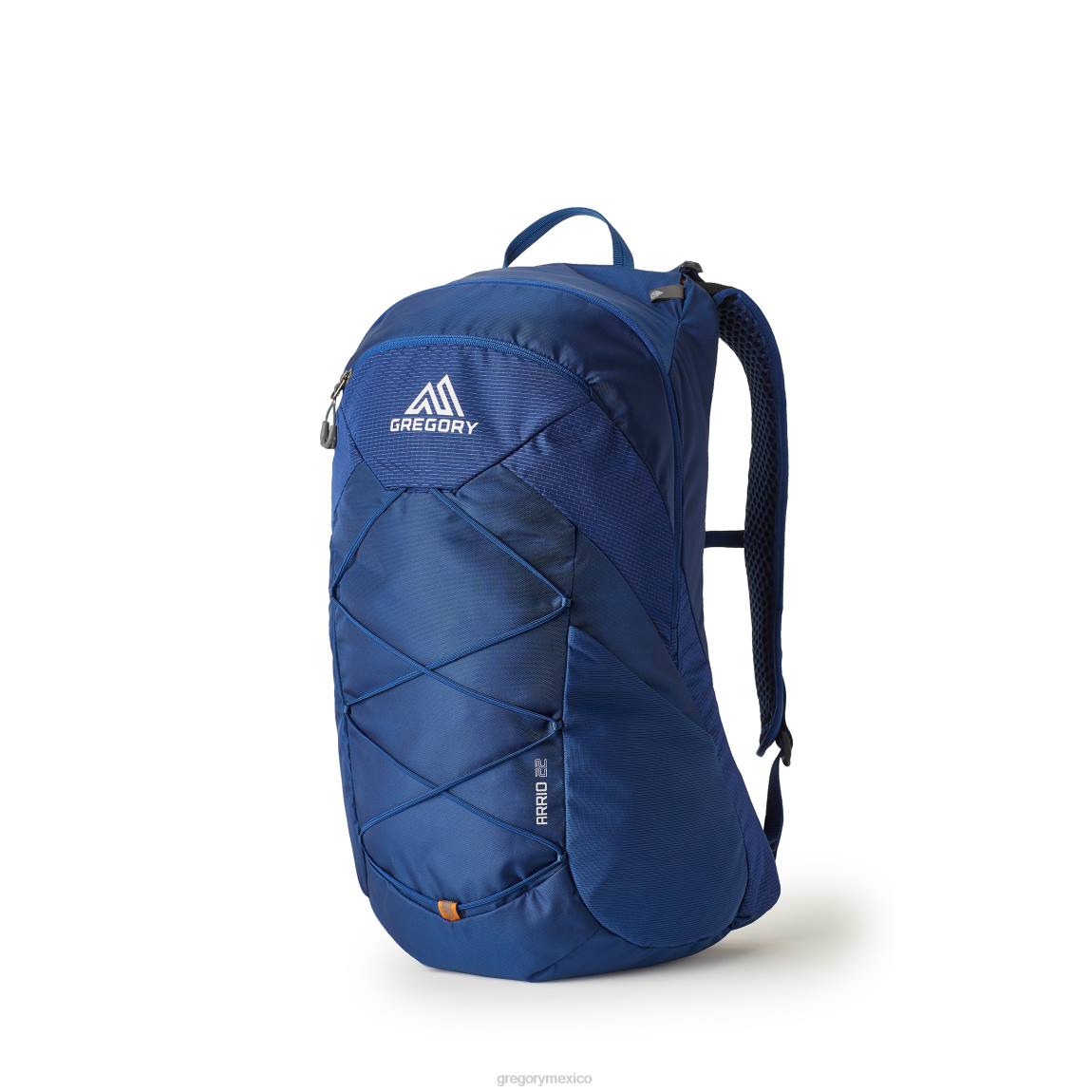 paquetes Gregory Packs arrio 22 talla grande azul imperio PL0N137