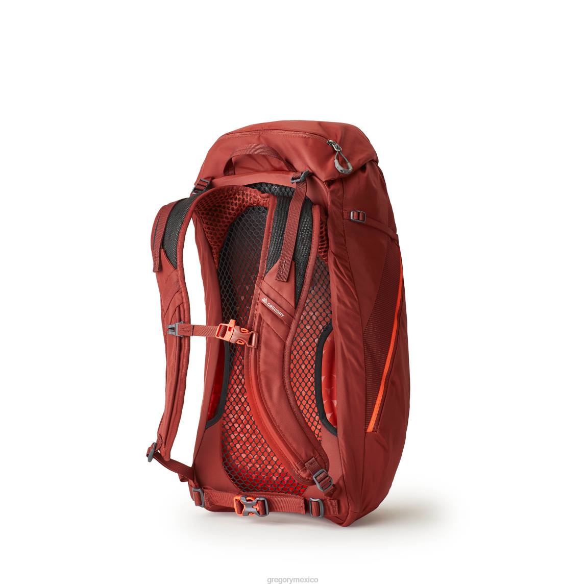 paquetes Gregory Packs arrio 24 rojo ladrillo PL0N158