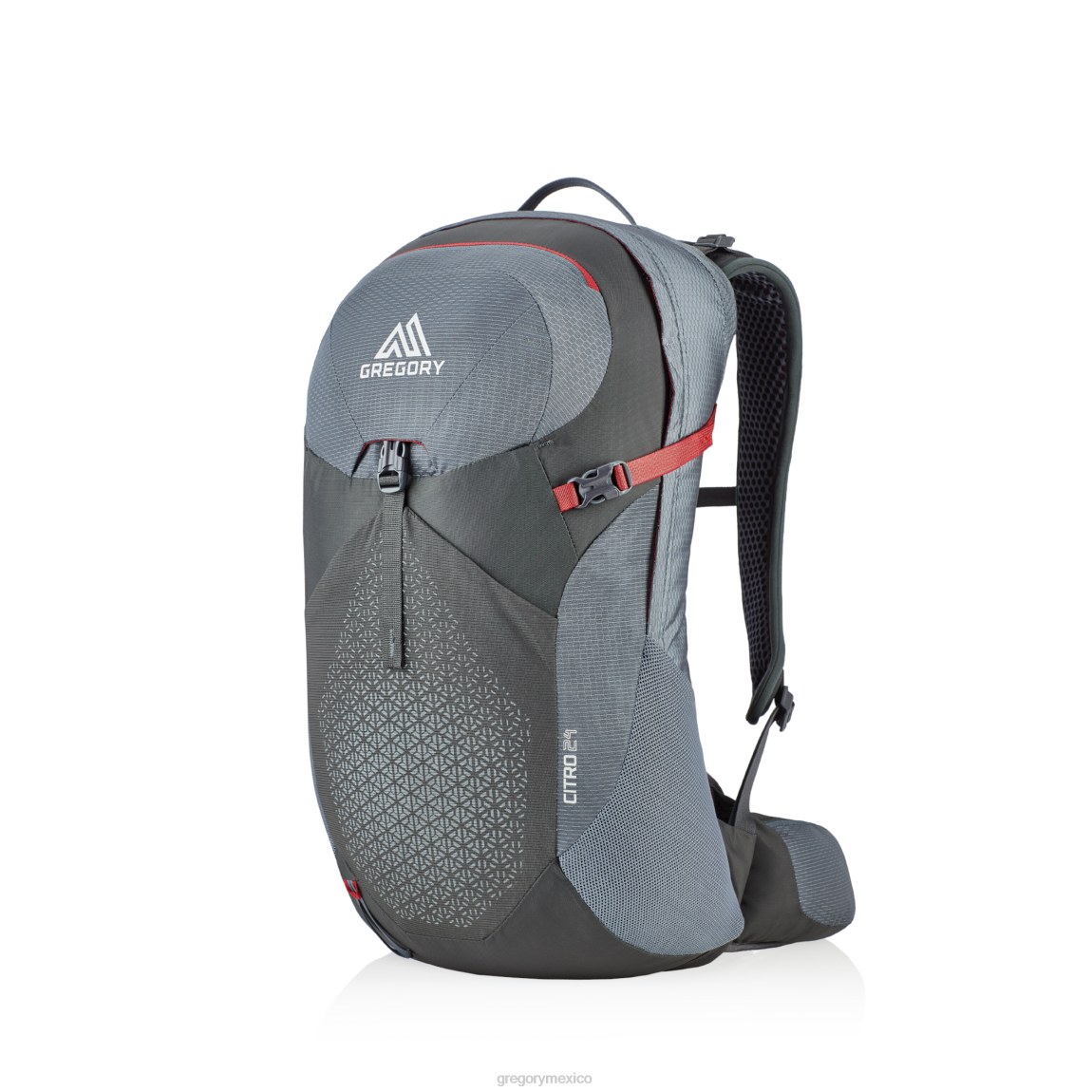 paquetes Gregory Packs citro 24 humo gris PL0N225