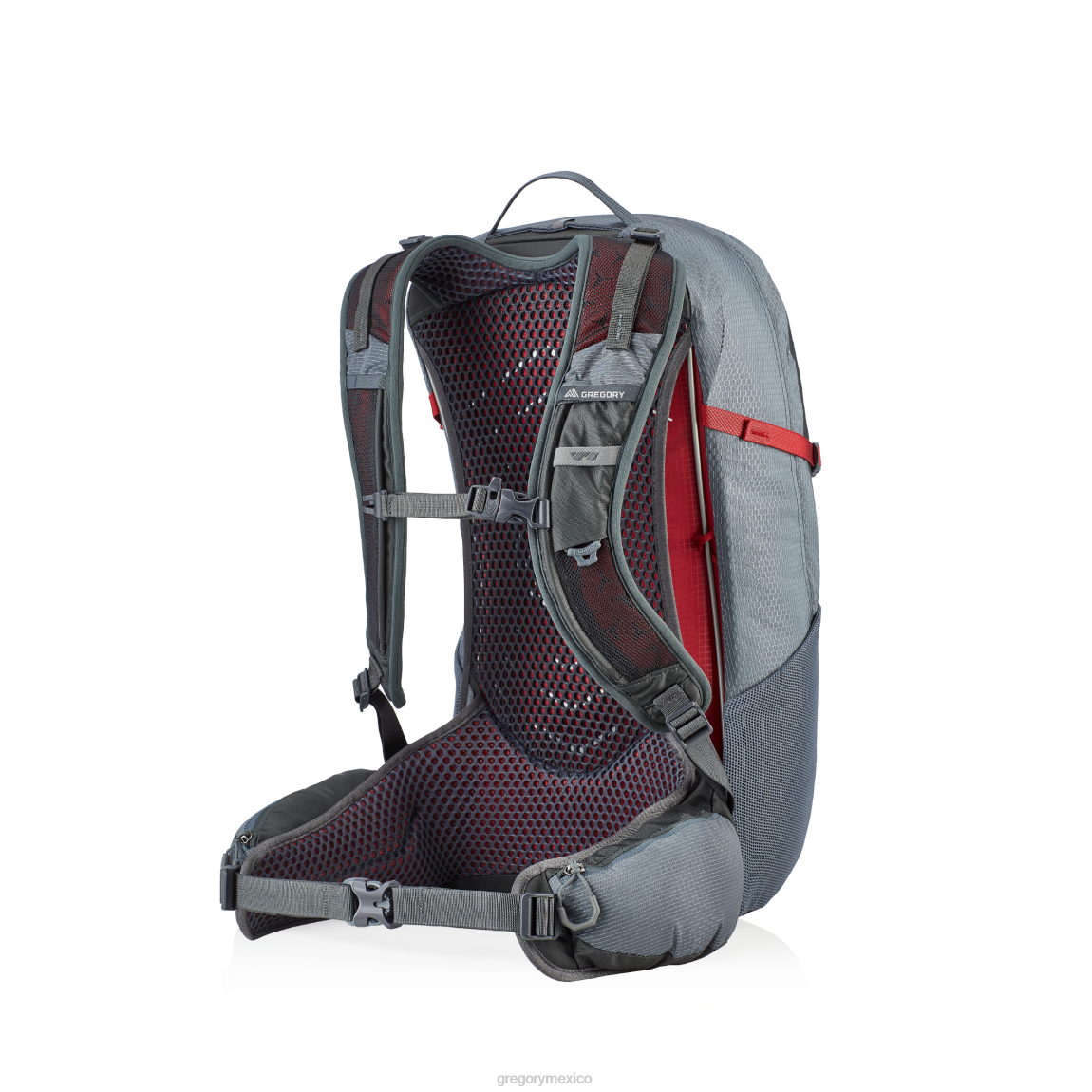 paquetes Gregory Packs citro 24 humo gris PL0N225