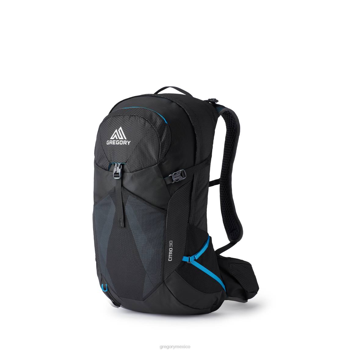 paquetes Gregory Packs citro 30 ozono negro PL0N231