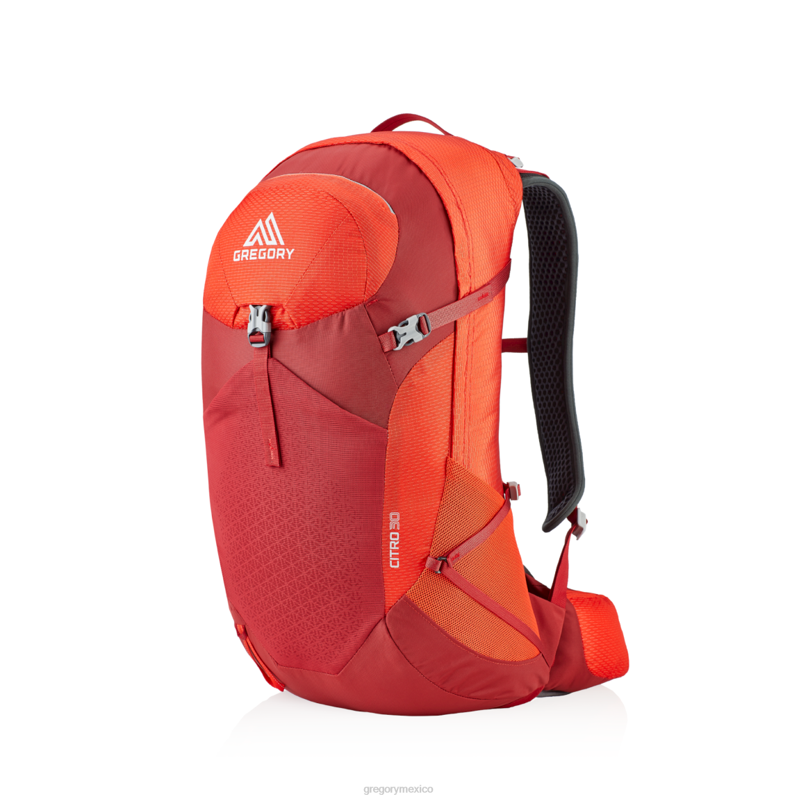 paquetes Gregory Packs citro 30 rojo intenso PL0N230