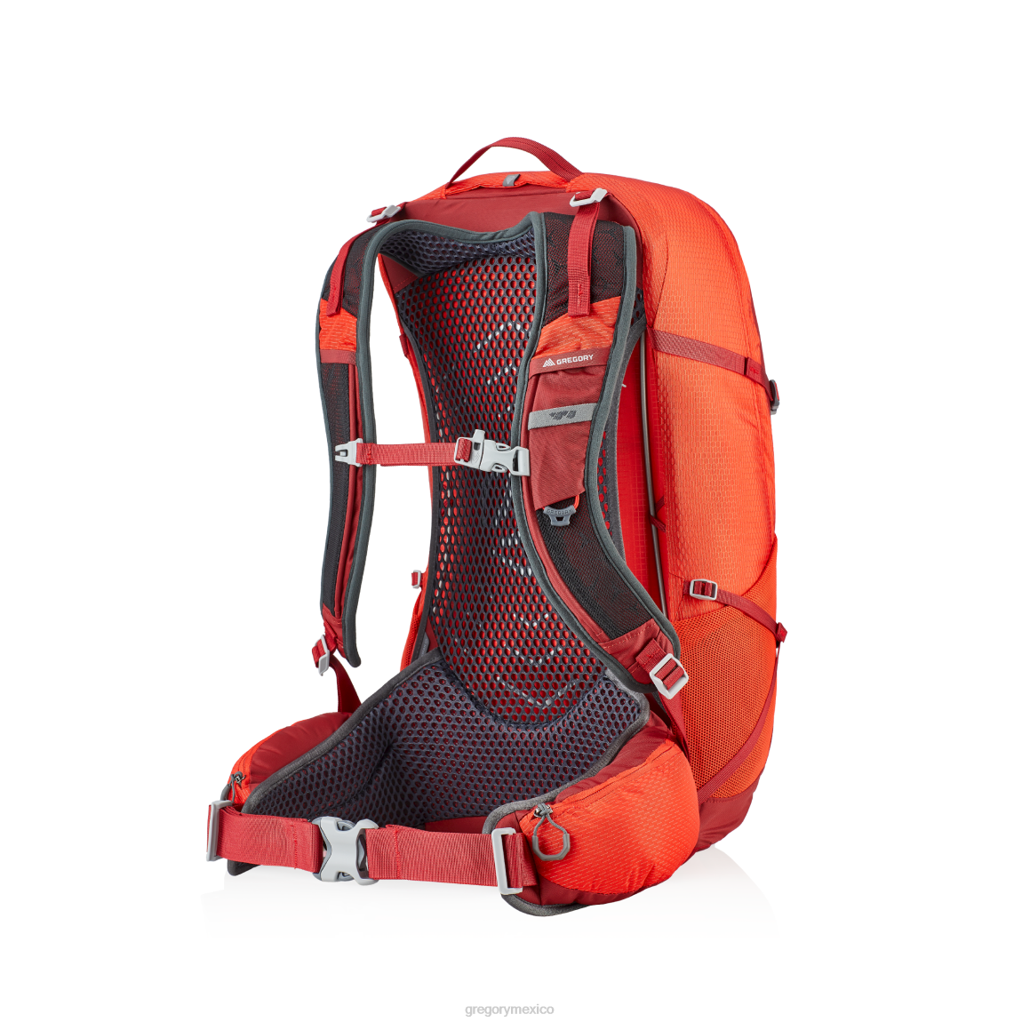 paquetes Gregory Packs citro 30 rojo intenso PL0N230