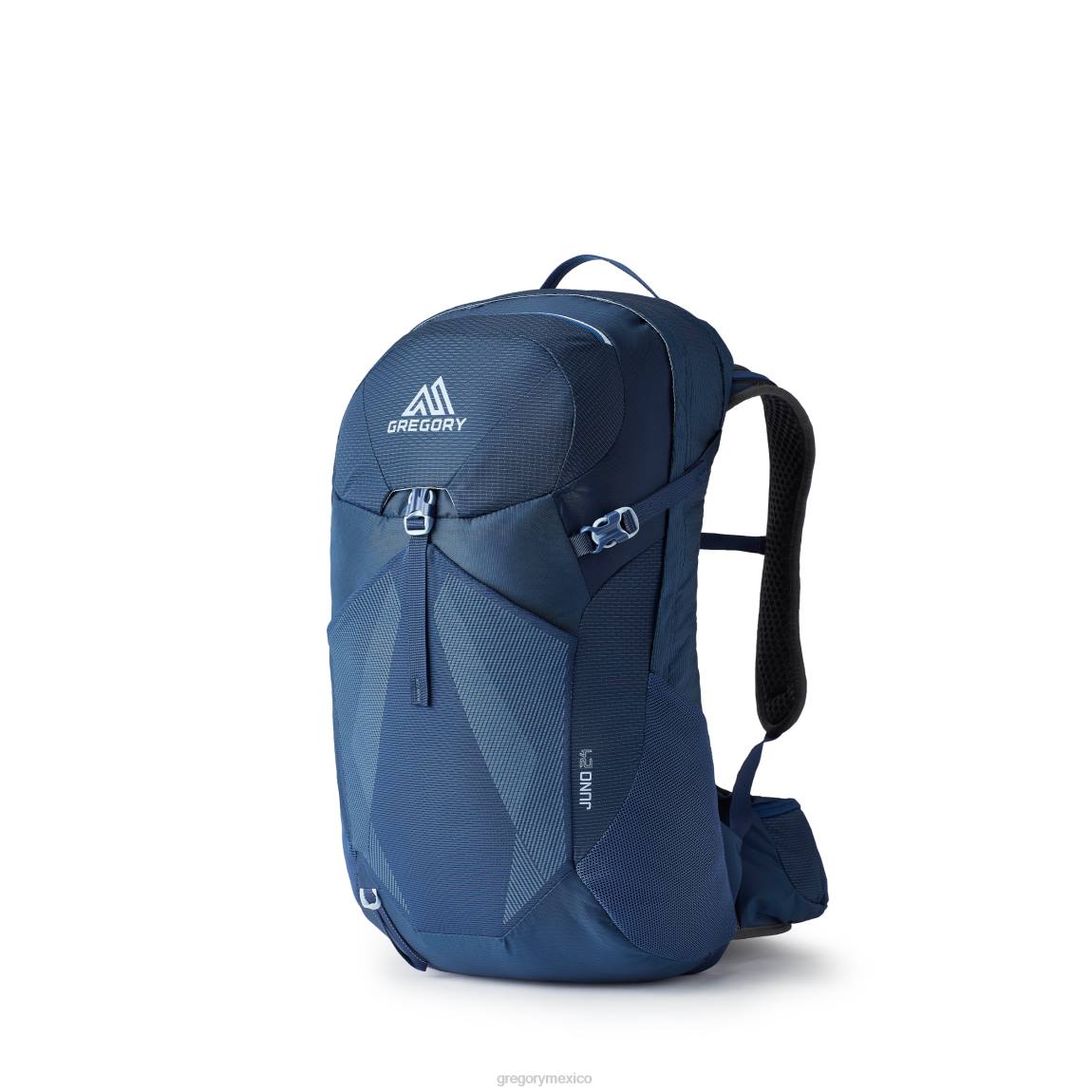 paquetes Gregory Packs junio 24 azul vintage PL0N128