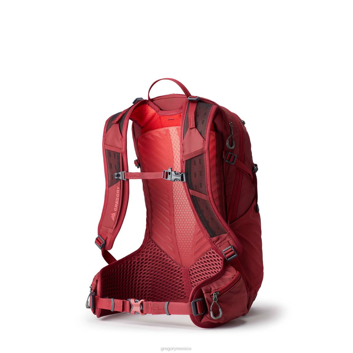paquetes Gregory Packs maya 15 iris rojo PL0N76