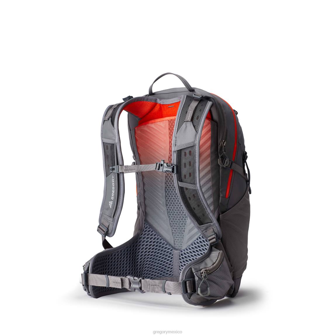 paquetes Gregory Packs maya 20 gris atardecer PL0N216