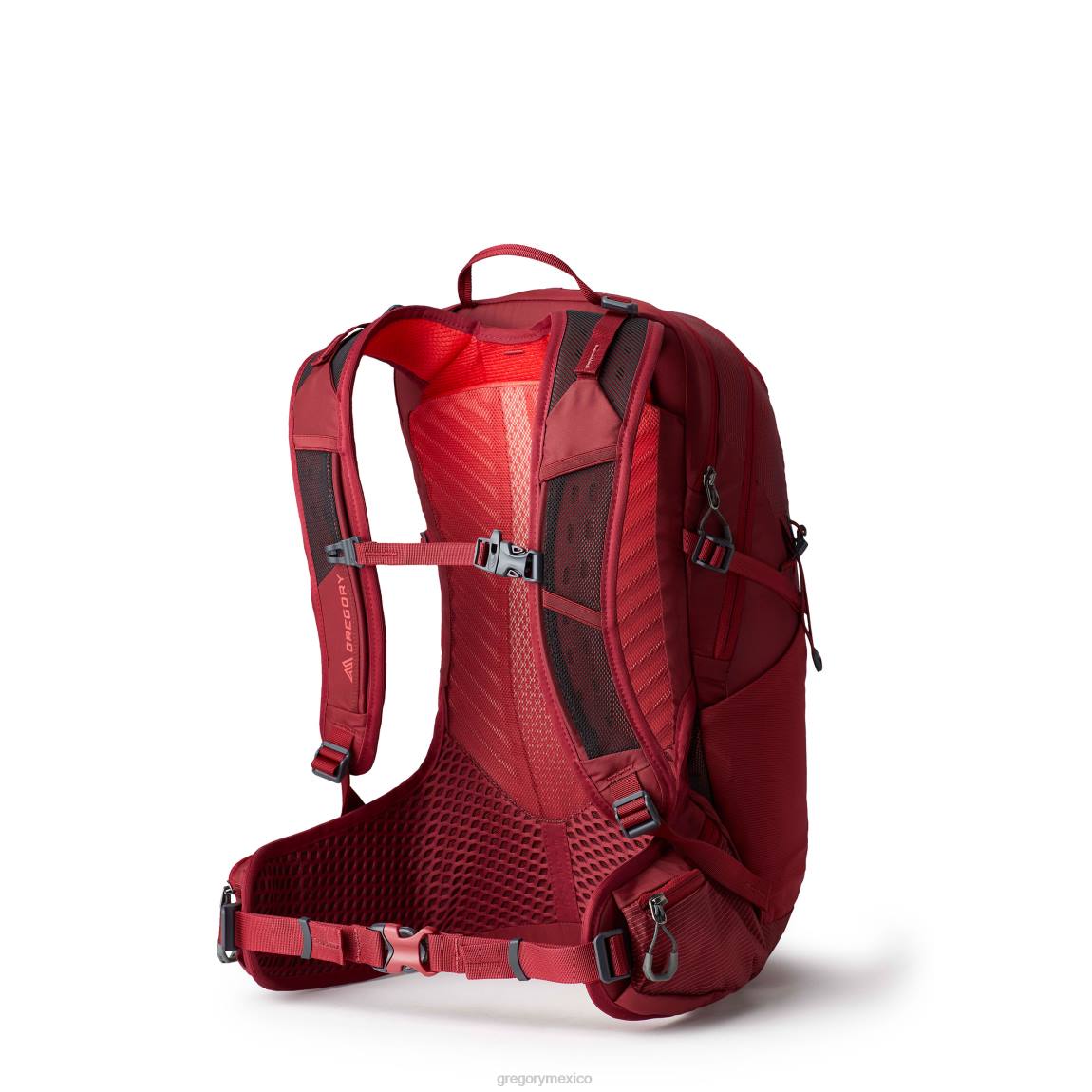 paquetes Gregory Packs maya 20 iris rojo PL0N217