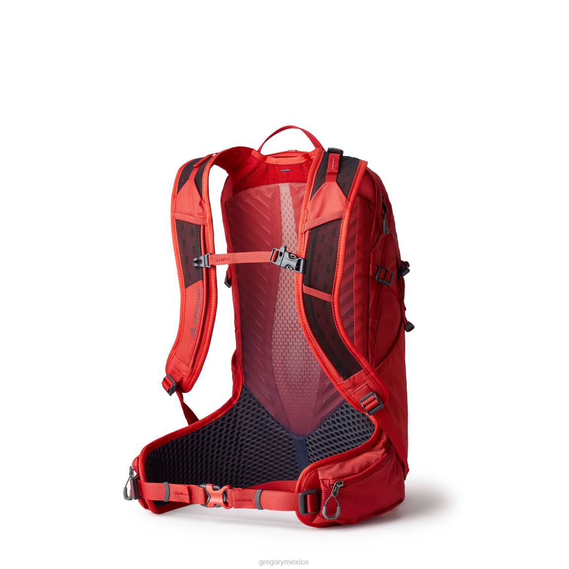 paquetes Gregory Packs miko 15 zumaque rojo PL0N84