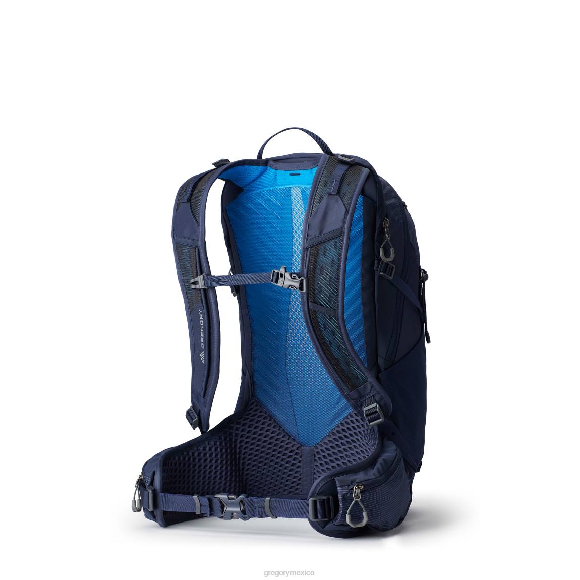 paquetes Gregory Packs miko 20 voltio azul PL0N91