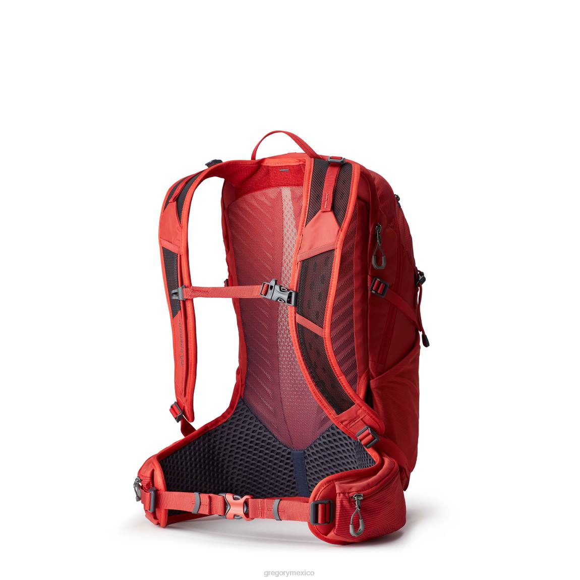 paquetes Gregory Packs miko 20 zumaque rojo PL0N90