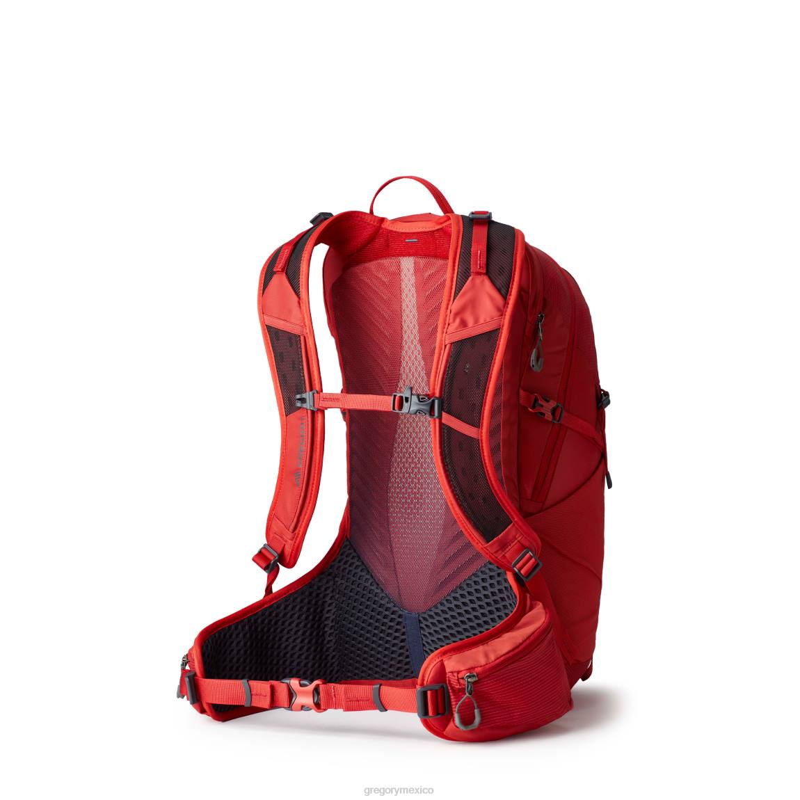 paquetes Gregory Packs miko 25 zumaque rojo PL0N164