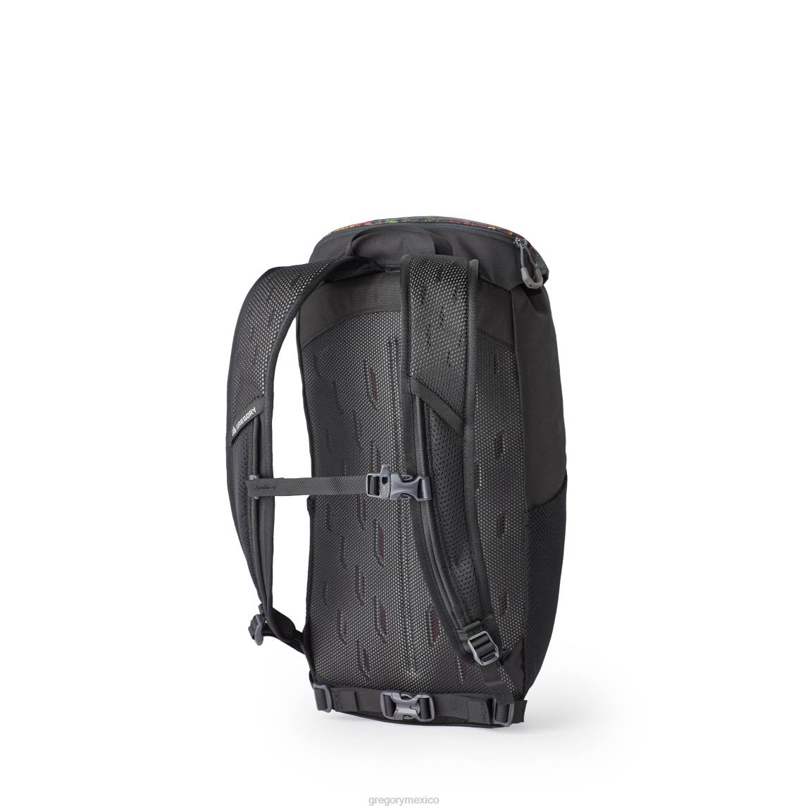 paquetes Gregory Packs nano 16 bosque tropical PL0N129