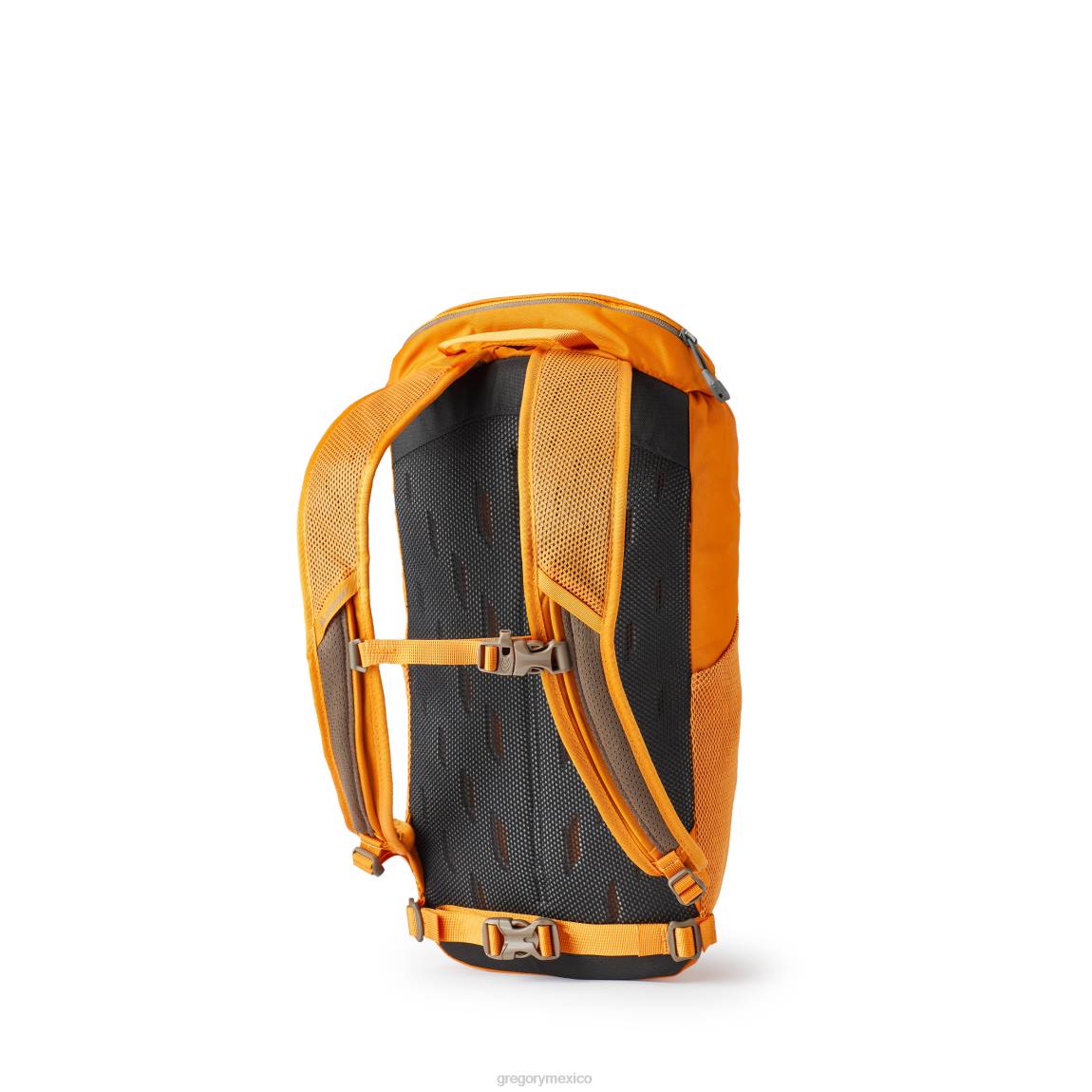paquetes Gregory Packs nano 16 ámbar quemado PL0N133