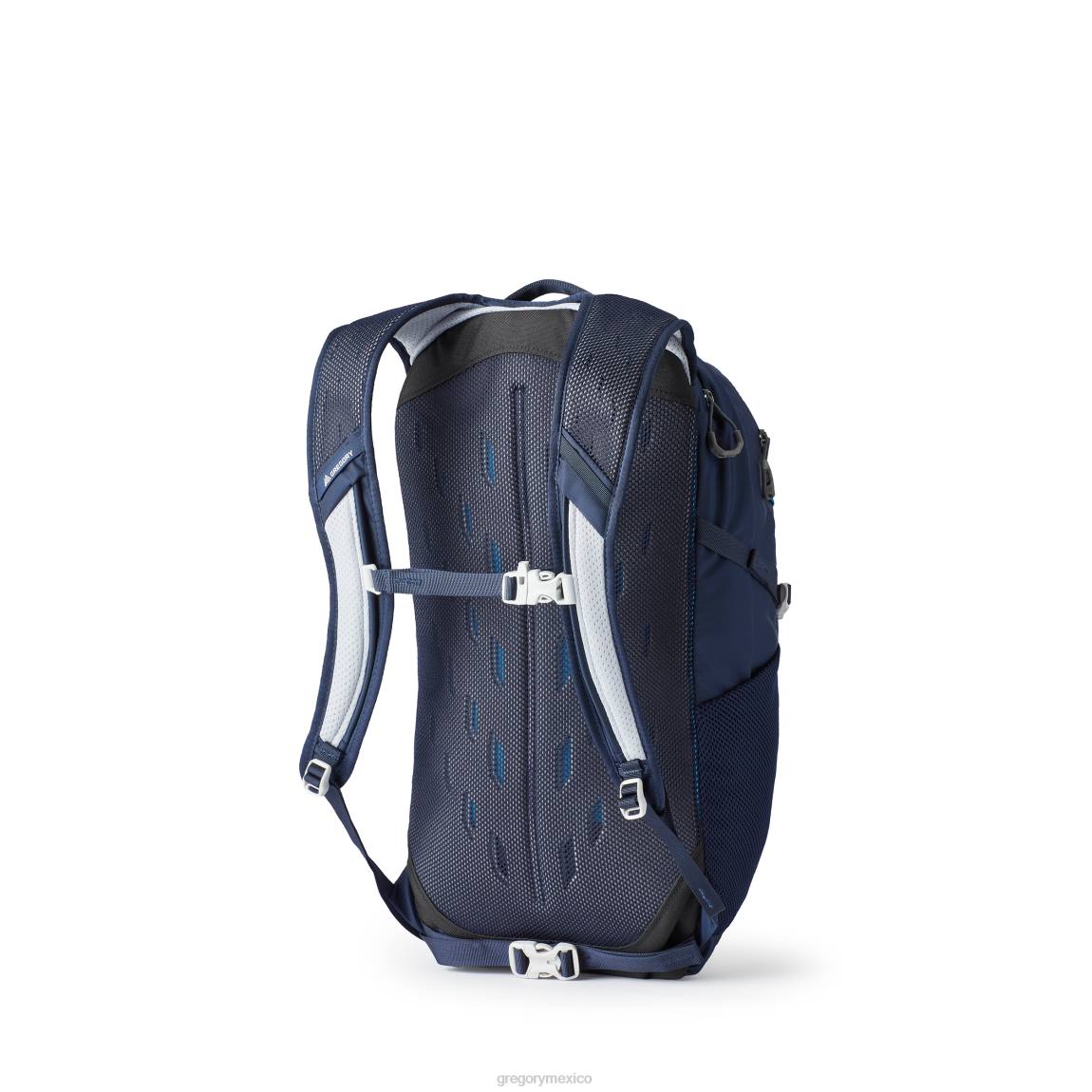 paquetes Gregory Packs nano 20 azul marino brillante PL0N73