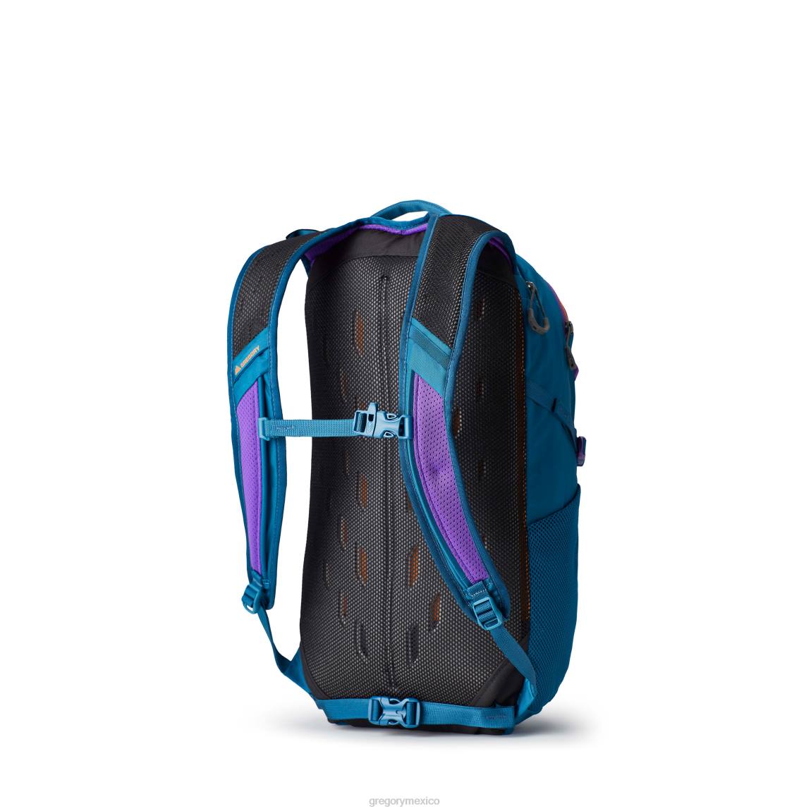 paquetes Gregory Packs nano 20 icono verde azulado PL0N72