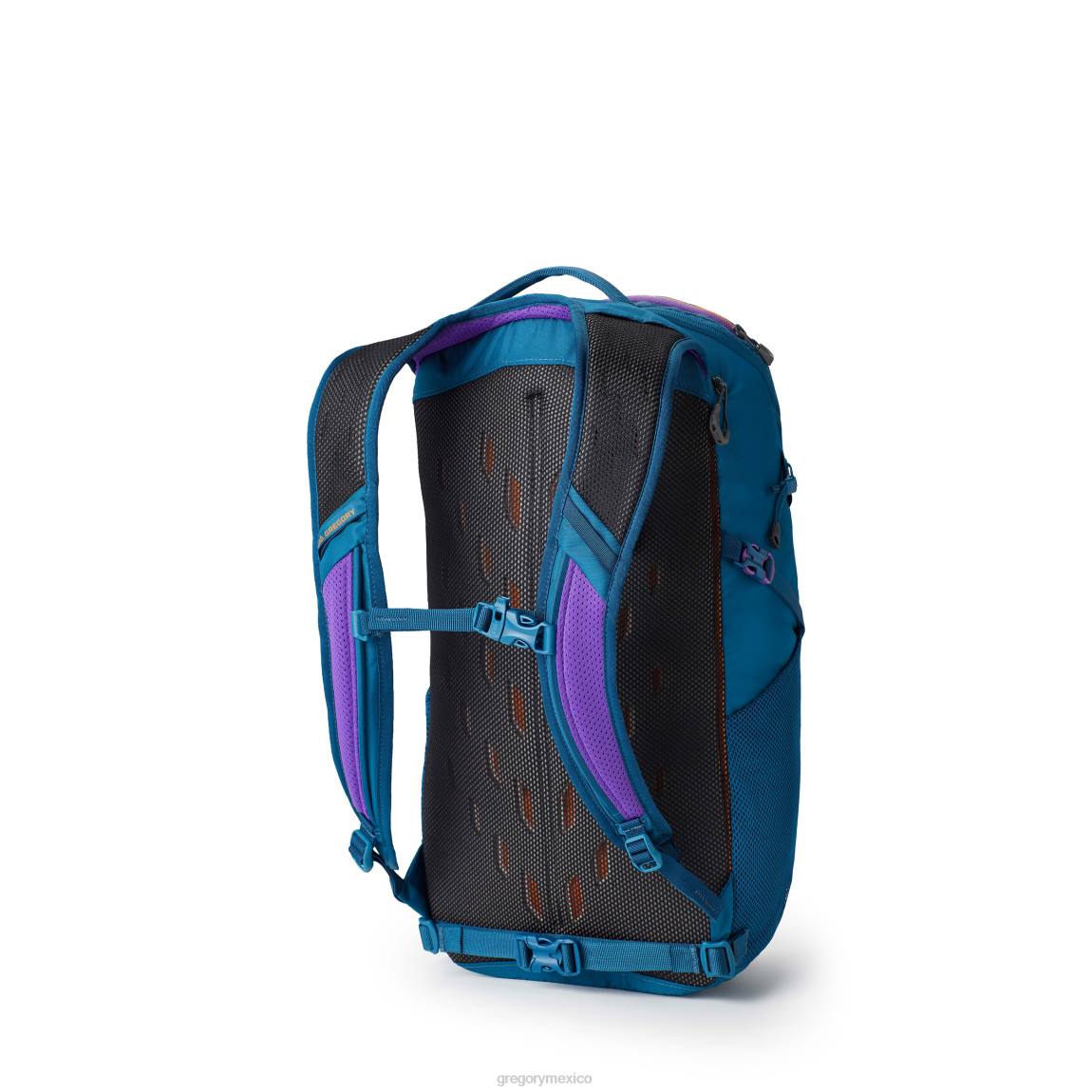paquetes Gregory Packs nano 24 icono verde azulado PL0N198