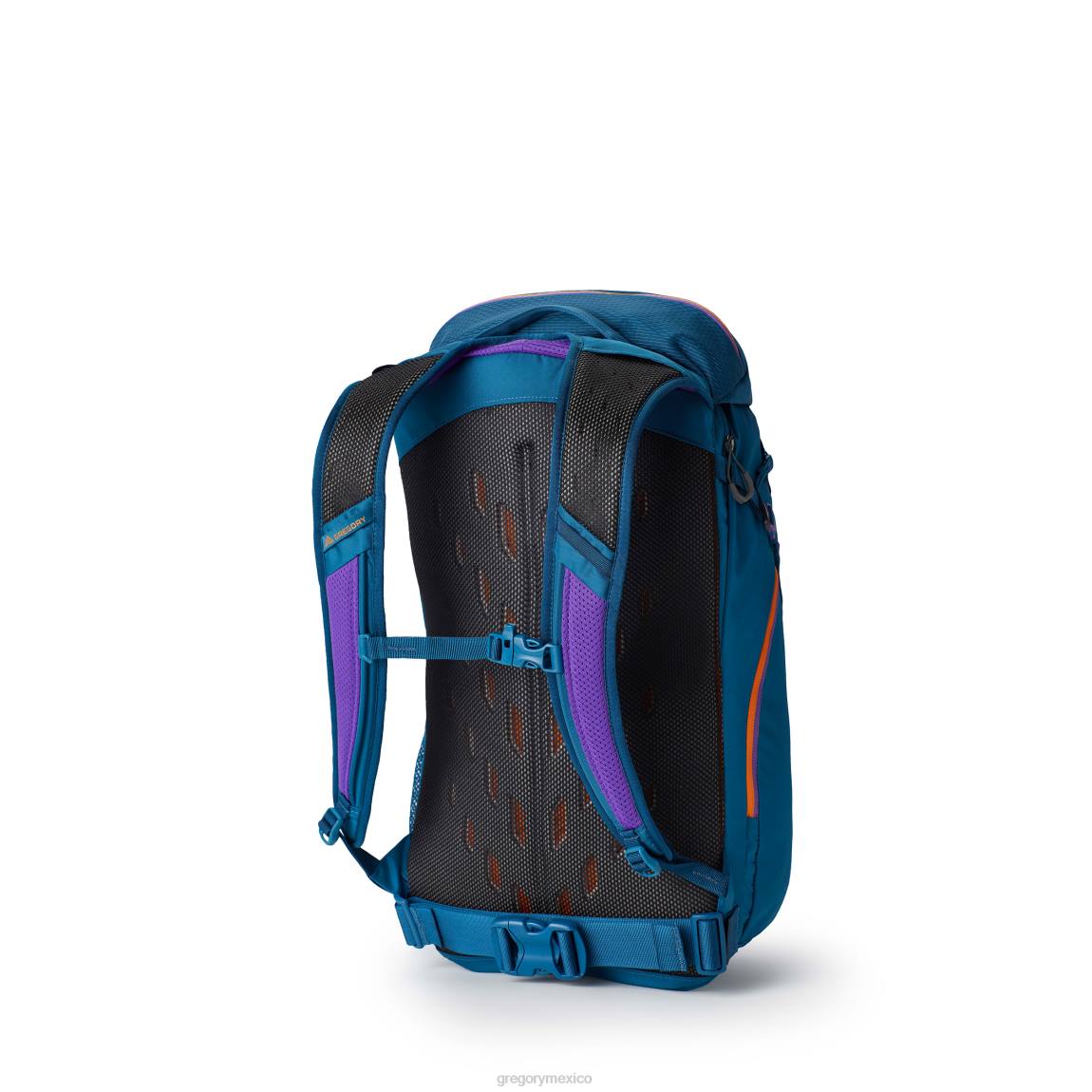 paquetes Gregory Packs nano 30 icono verde azulado PL0N165