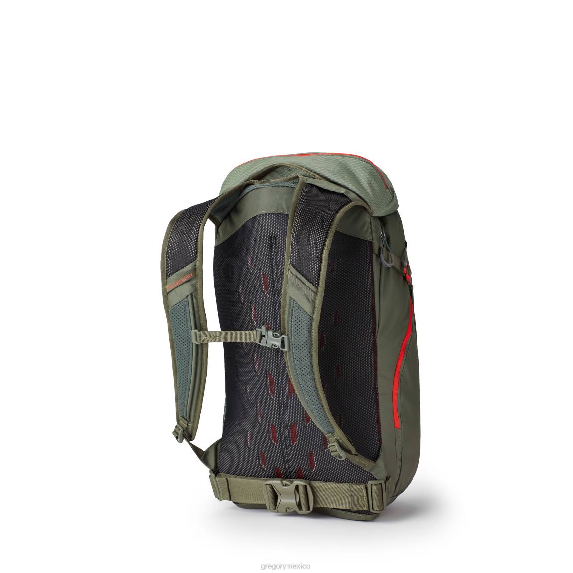 paquetes Gregory Packs nano 30 verde resplandor PL0N168