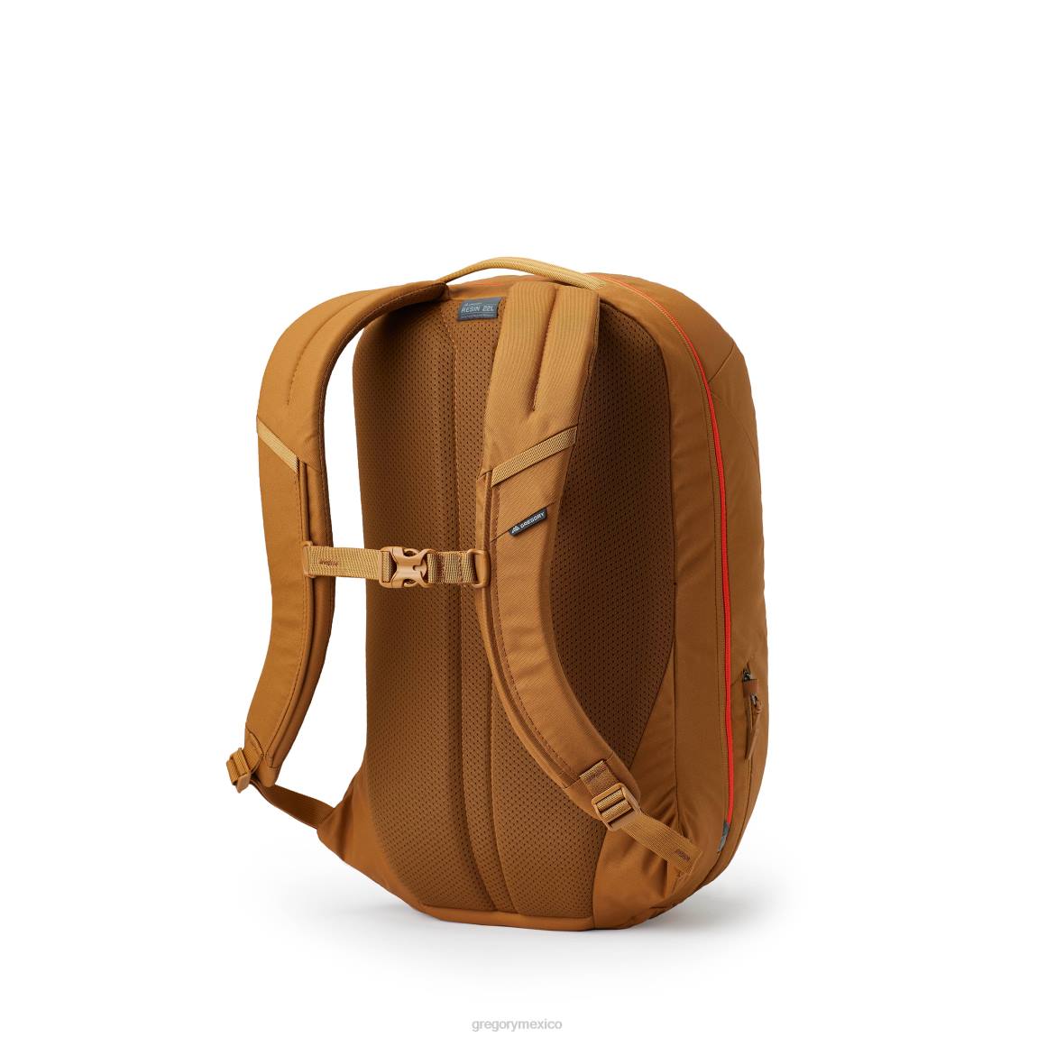 paquetes Gregory Packs resina 22 bosque PL0N121