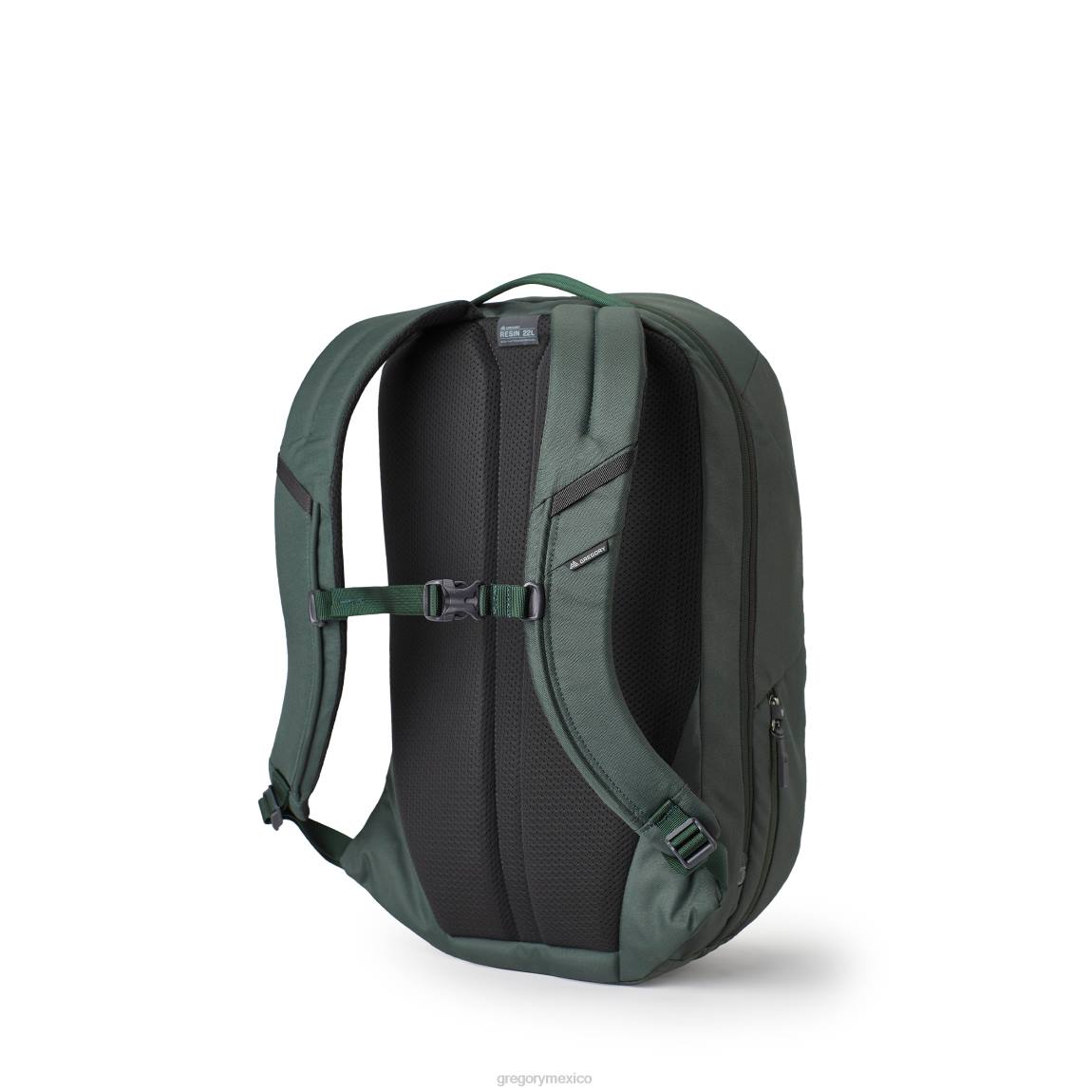 paquetes Gregory Packs resina 22 bosque oscuro PL0N120