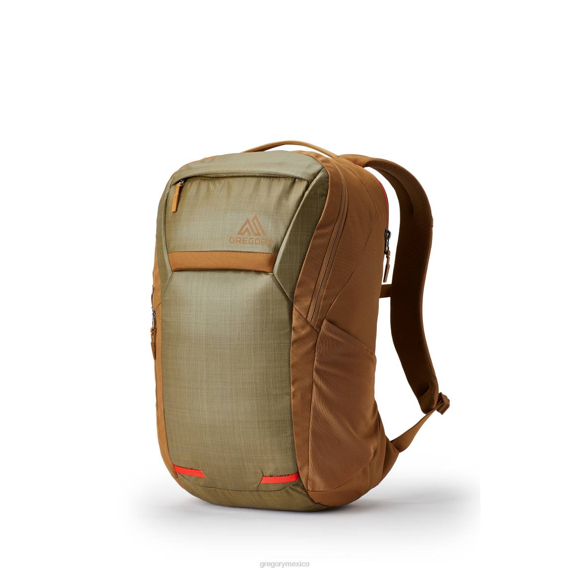 paquetes Gregory Packs resina 25 bosque PL0N153