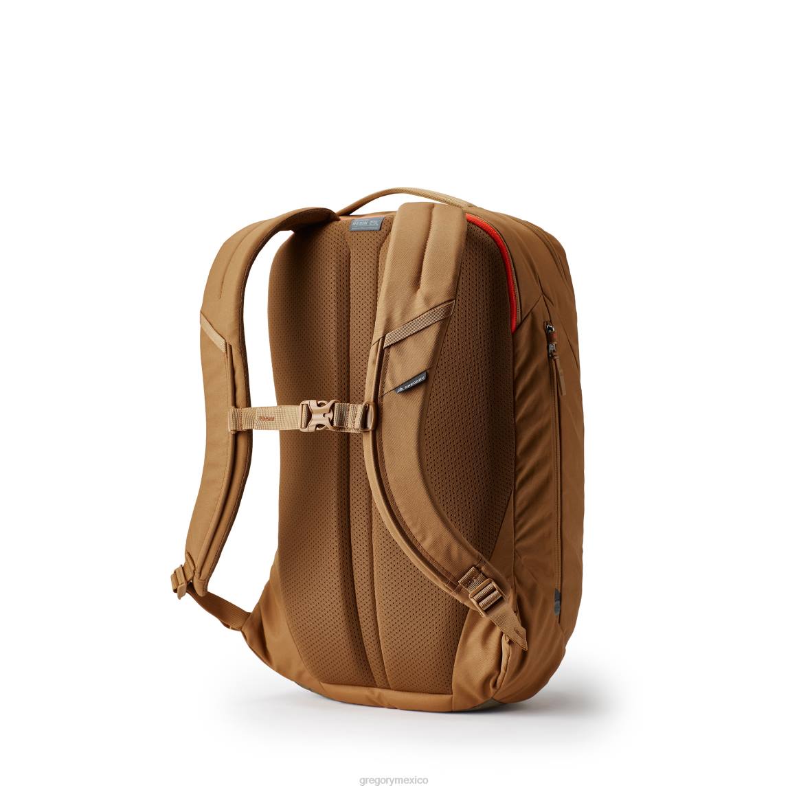 paquetes Gregory Packs resina 25 bosque PL0N153