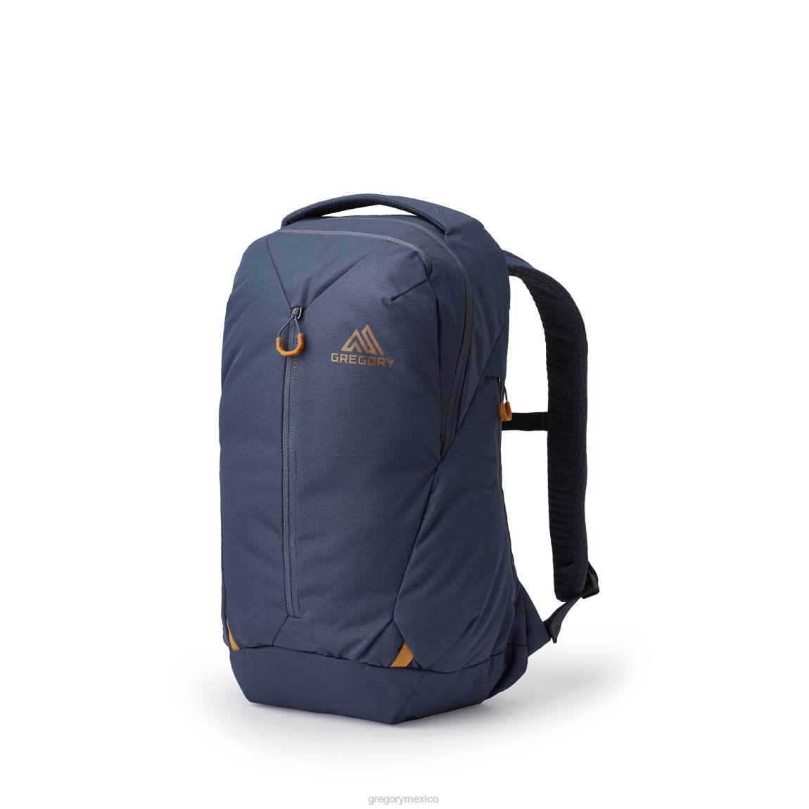 paquetes Gregory Packs runa 20 azul marino mate PL0N182