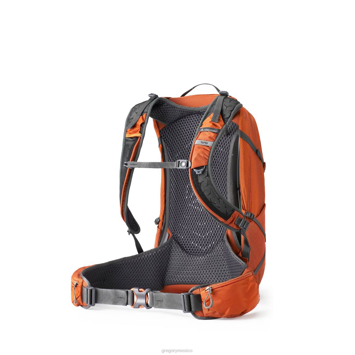 paquetes Gregory Packs citro 30 h2o talla grande naranja PL0N284