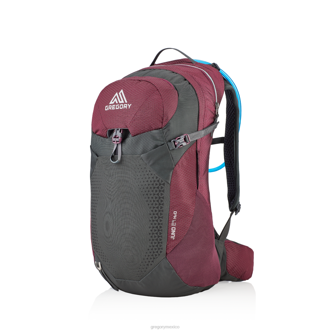 paquetes Gregory Packs junio 24 h2o mora morada PL0N280