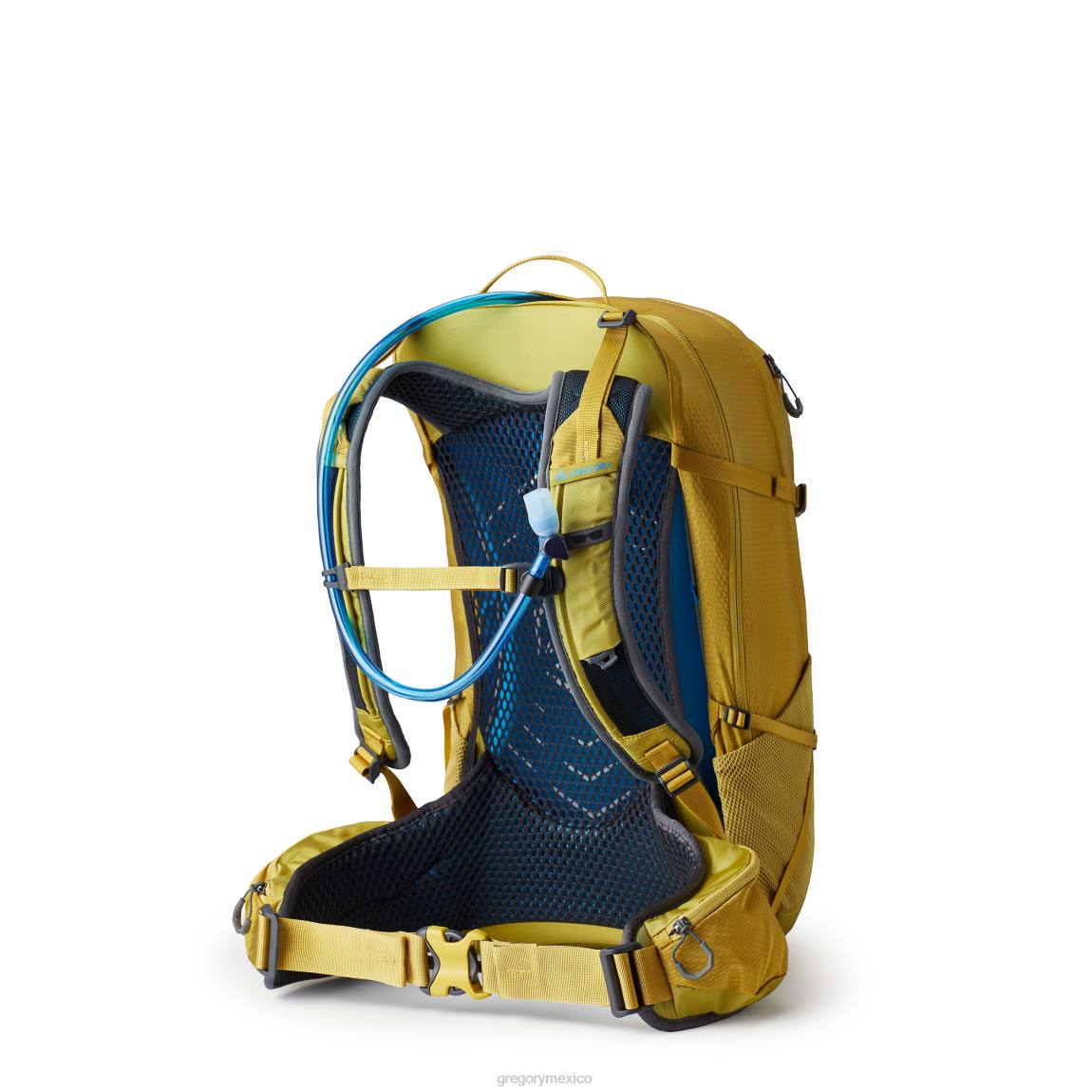 paquetes Gregory Packs junio 30 h2o amarillo mineral PL0N297