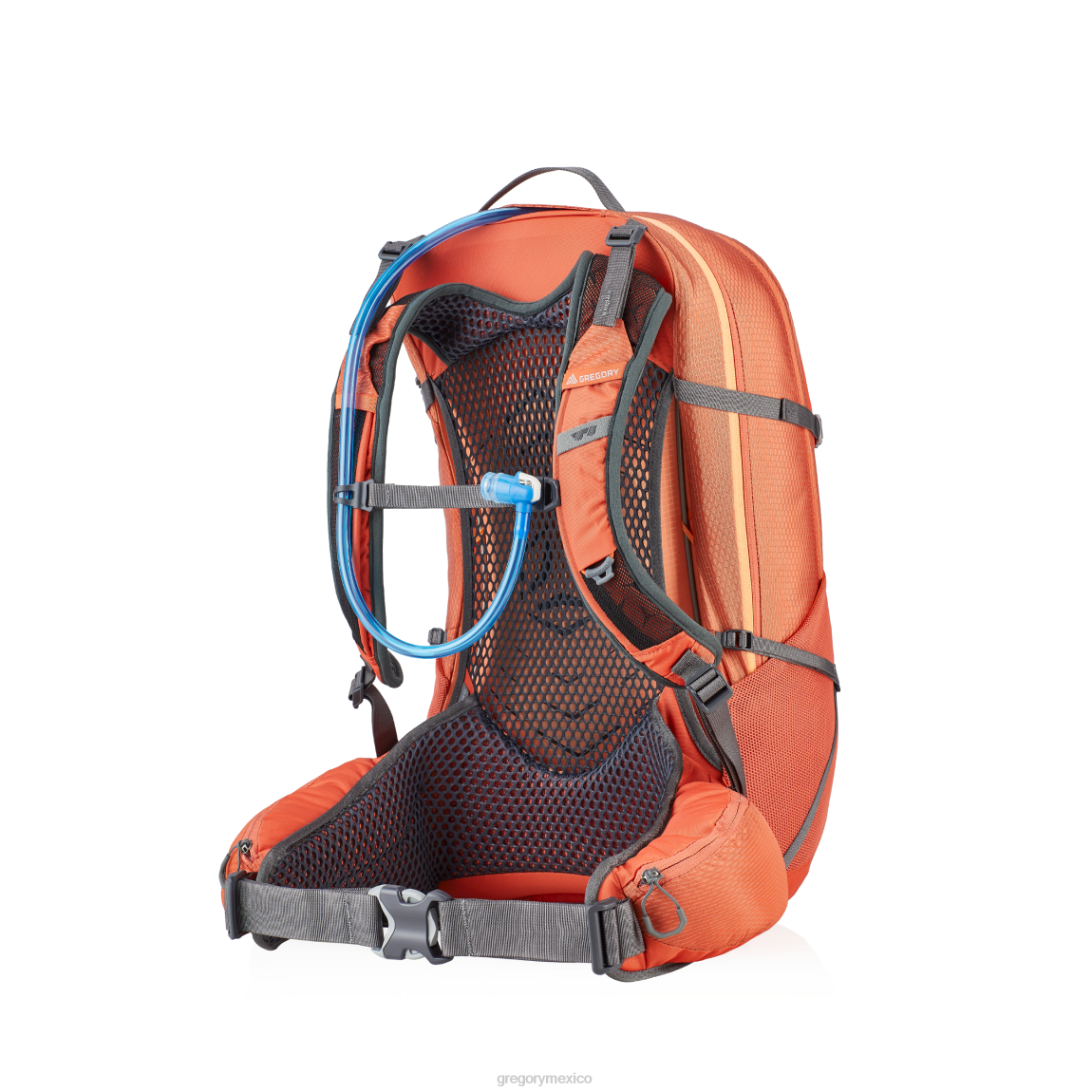 paquetes Gregory Packs junio 30 h2o rojo coral PL0N296