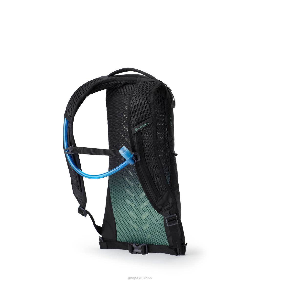 paquetes Gregory Packs ritmo 3h2o hielo negro PL0N334