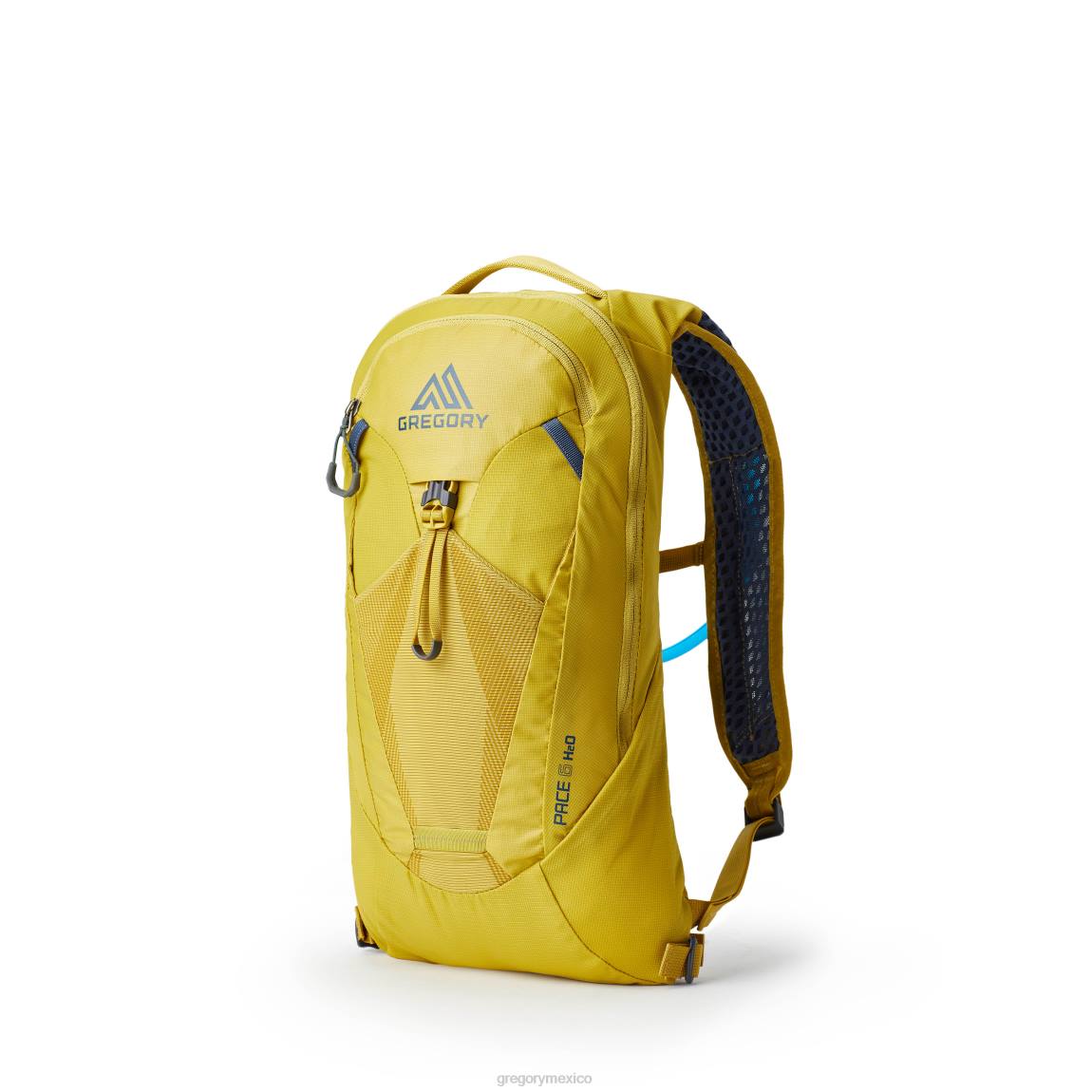 paquetes Gregory Packs ritmo 6 h2o amarillo mineral PL0N332
