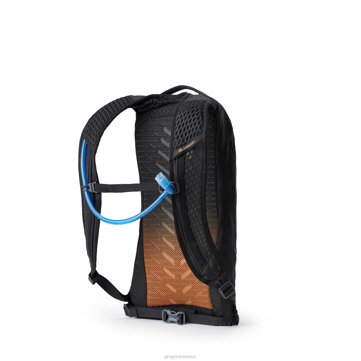 paquetes Gregory Packs ritmo 6 h2o bronce al carbono PL0N325