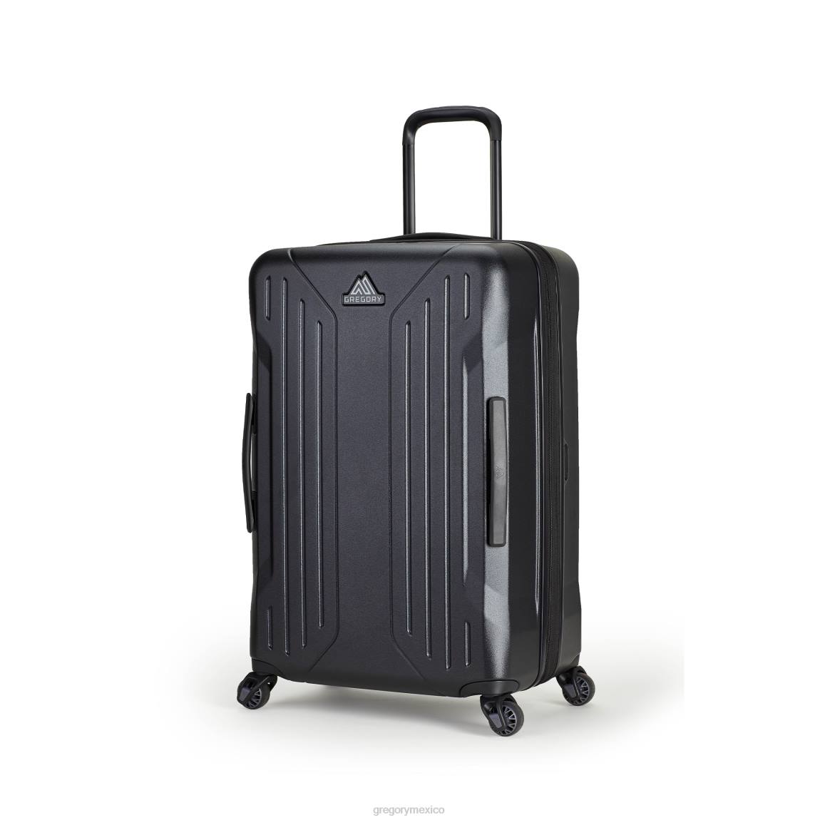 paquetes Gregory Packs estuche rígido quadro pro 28" negro PL0N273