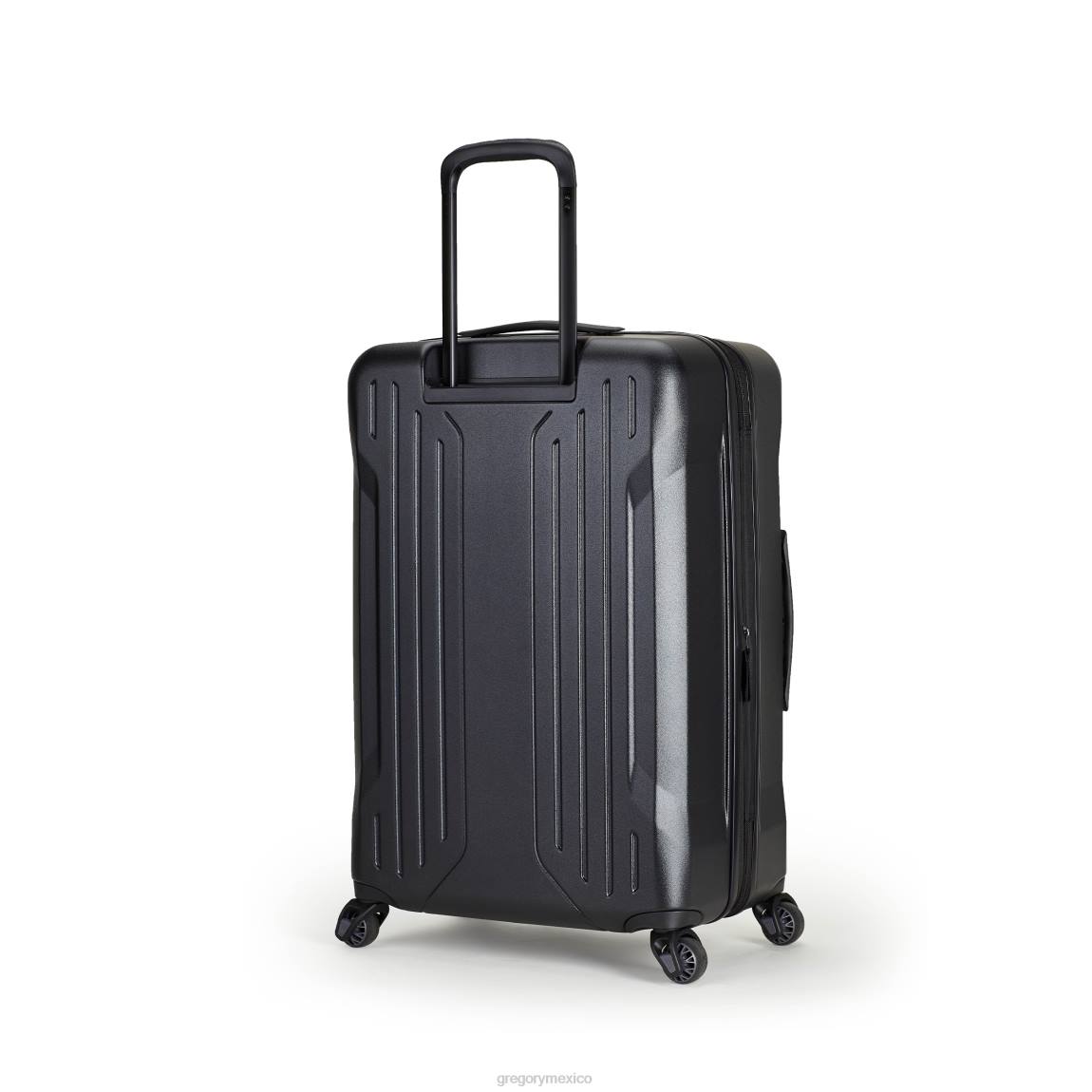 paquetes Gregory Packs estuche rígido quadro pro 28